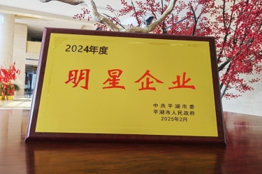 新春新景新气象 | 8868体育官网首页入口在平湖三干大会上喜摘荣誉！